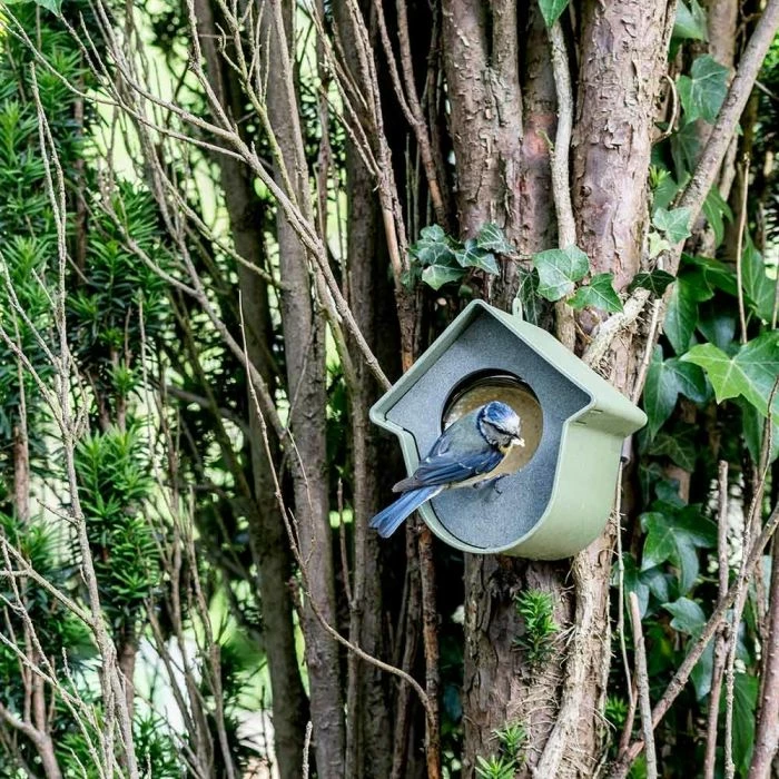 National Trust Evie Peanut Butter Feeder (100% Recycled) - Image 3