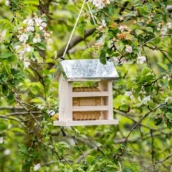 Turku Peanut Cake Feeder