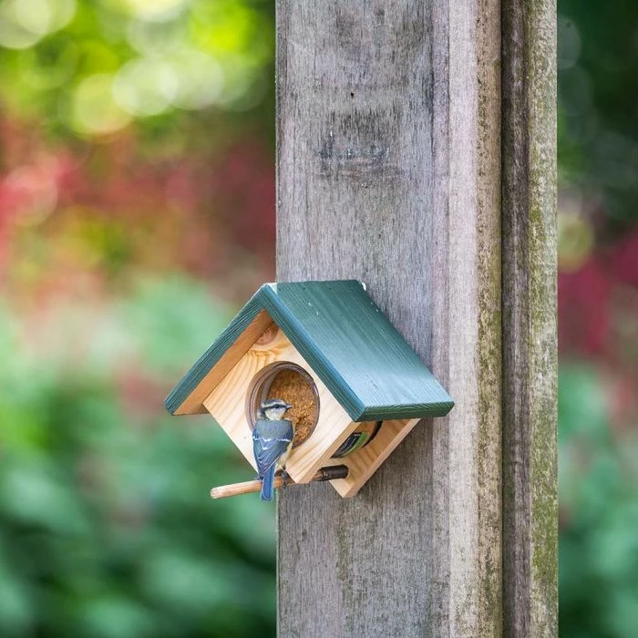 Cork Peanut Butter Wall Feeder - Image 2