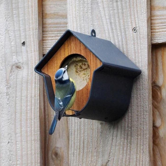 SingingFriend Evie Peanut Butter Bird Feeder - Image 2