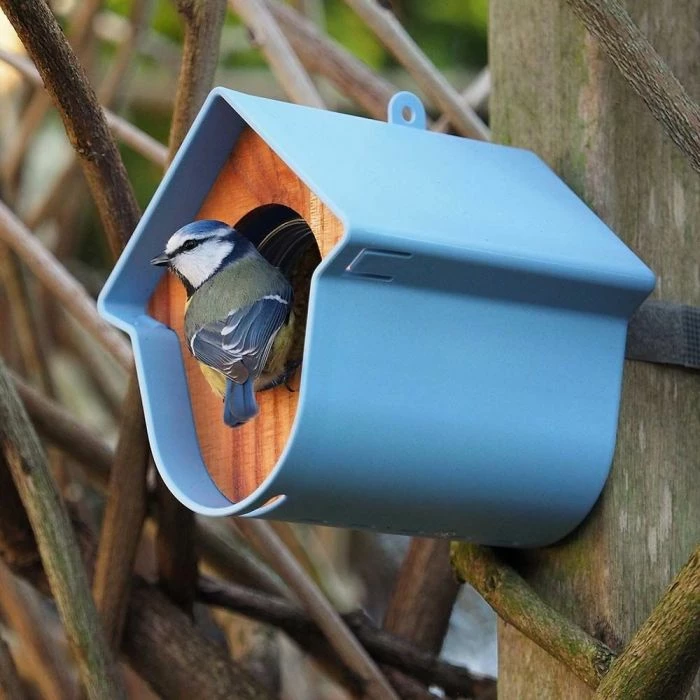 SingingFriend Evie Peanut Butter Bird Feeder - Image 5