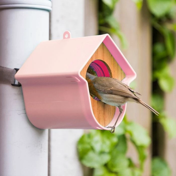 SingingFriend Evie Peanut Butter Bird Feeder - Image 4