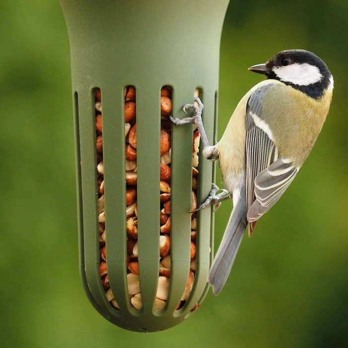 SingingFriend Max Peanut Feeder (Green) - Image 2