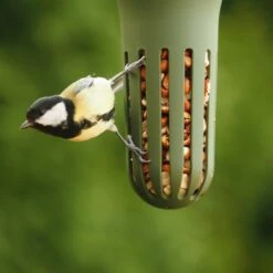 SingingFriend Max Peanut Feeder (Green)