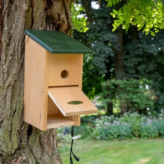 Nest Box With Camera Bundle - Image 2
