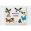 Butterfly Wings: A Matching Game