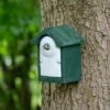 National Trust Green WoodStone 28mm Nest Box