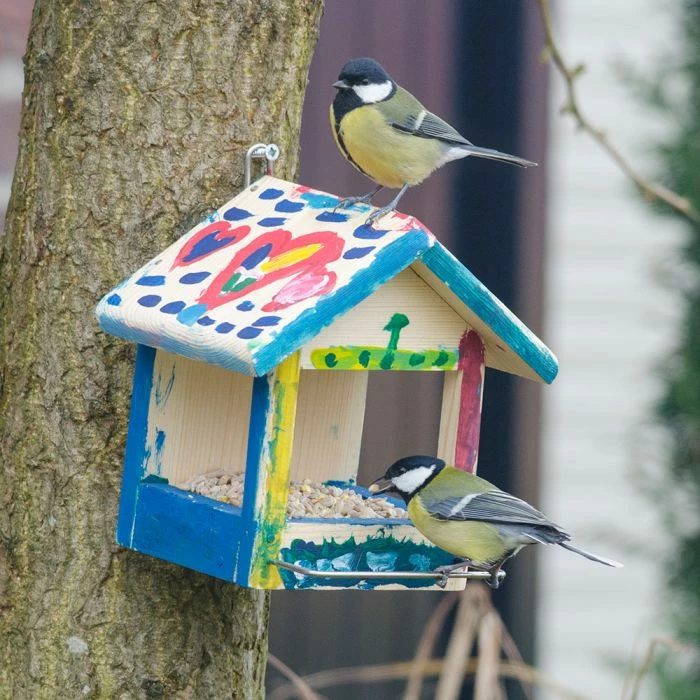 Build-Your-Own Juna Bird Feeder - Image 2