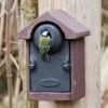WoodStone® Bilbao 28mm Nest Box