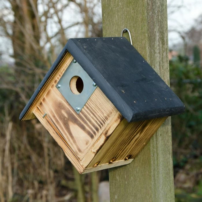 Alamo 32mm Nest Box - Image 2