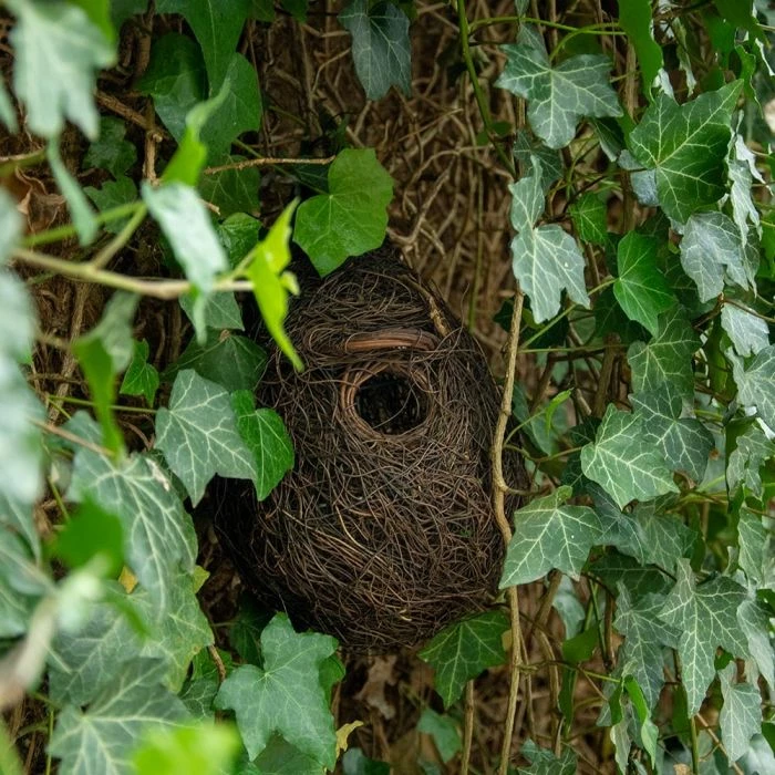 Funchal Lounge Roosting Nest - Image 2