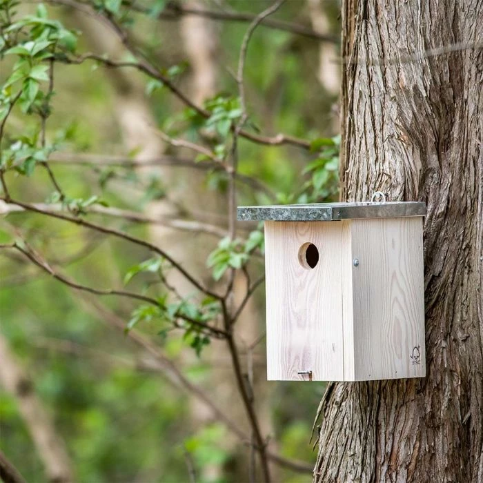 Rovaniemi 32mm Nest Box