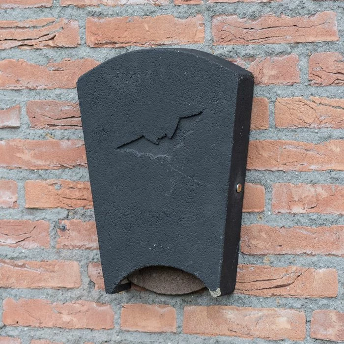 Beaumaris WoodStone Bat Box Midi - Image 2
