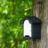 Harlech WoodStone® Bat Box