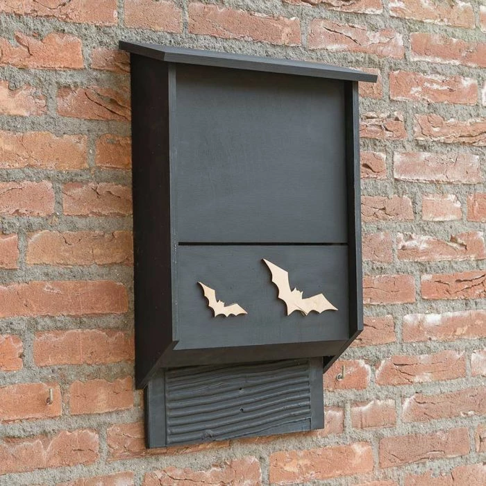Almodovar Wooden Bat Box
