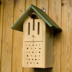 Butterfly & Bee Box