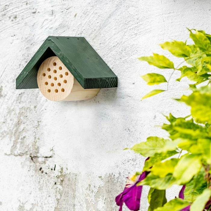 Bee Hotel Pantelleria - Image 2