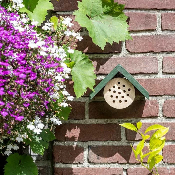 Bee Hotel Pantelleria - Image 3