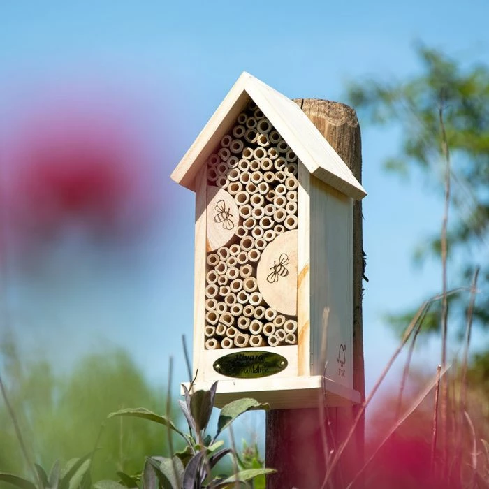 Tabarca Insect Hotel - Image 2