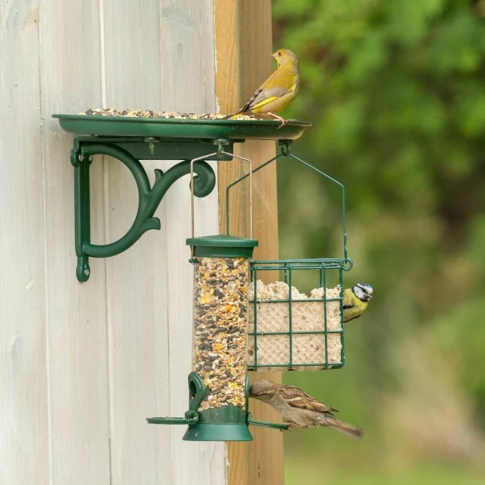 Organic Premium Bird Seed Mix 2.5kg - Image 5