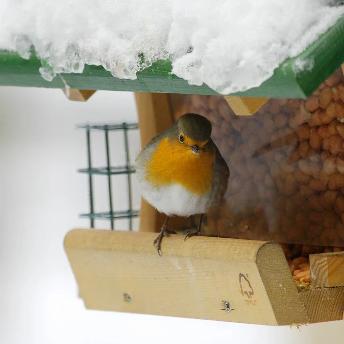Mosel Hanging Bird Feeding House - Image 2
