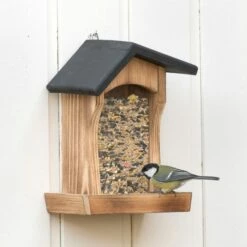 Houston Bird Seed Feeder