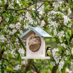 Tampere Apple And Fat Ball Feeder