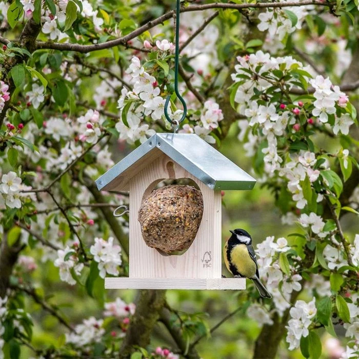 Tampere Apple And Fat Ball Feeder