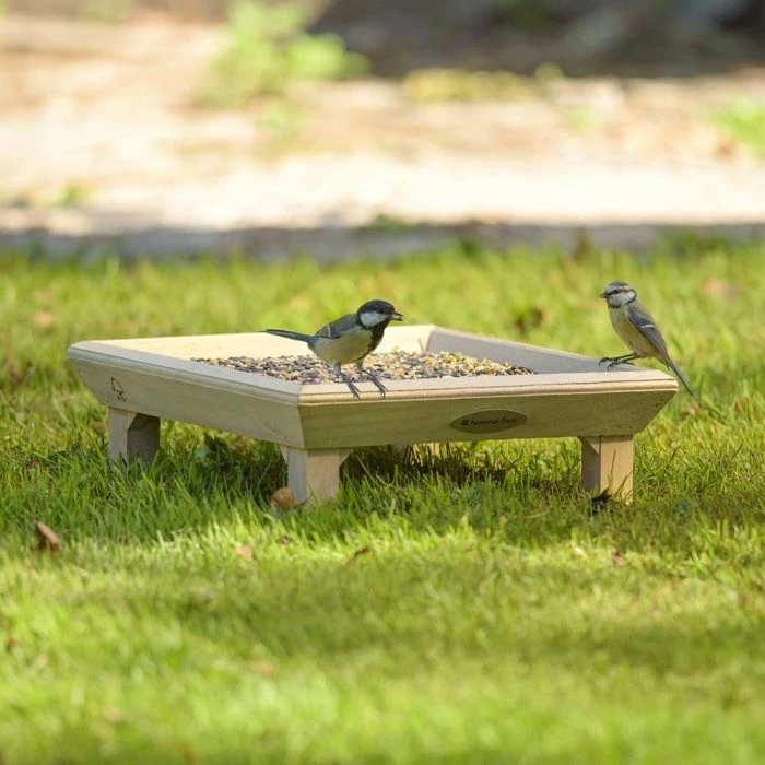 National Trust Ground Bird Feeding Table - Image 2