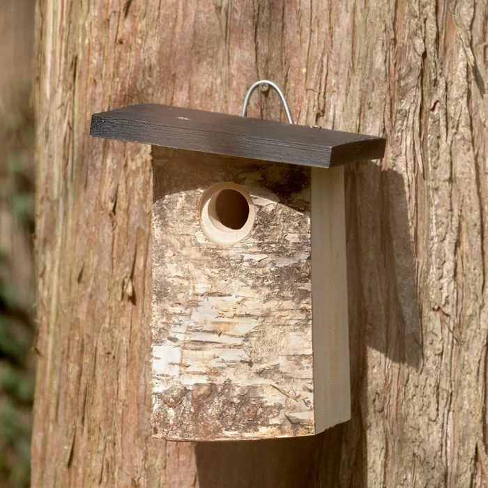 Bergen 32mm Nest Box - Image 3