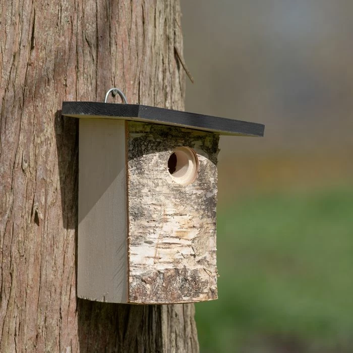 Bergen 32mm Nest Box - Image 2