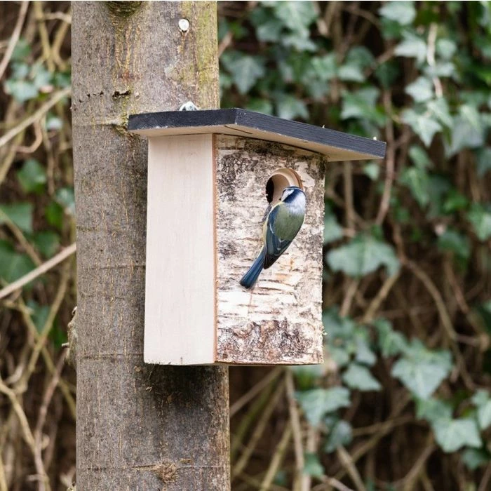 Bergen 32mm Nest Box