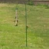 CJ's Bird Feeder Pole Single