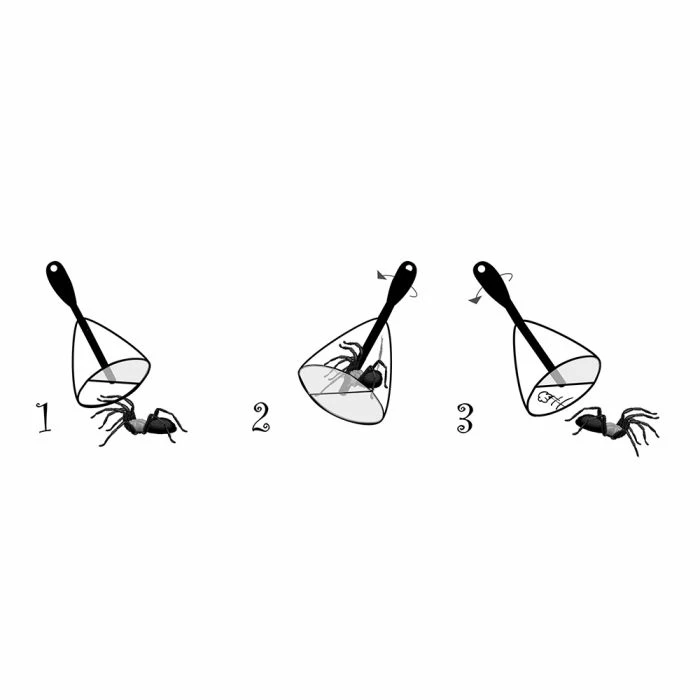 Bug Away Insect & Spider Catcher (long) - Image 4