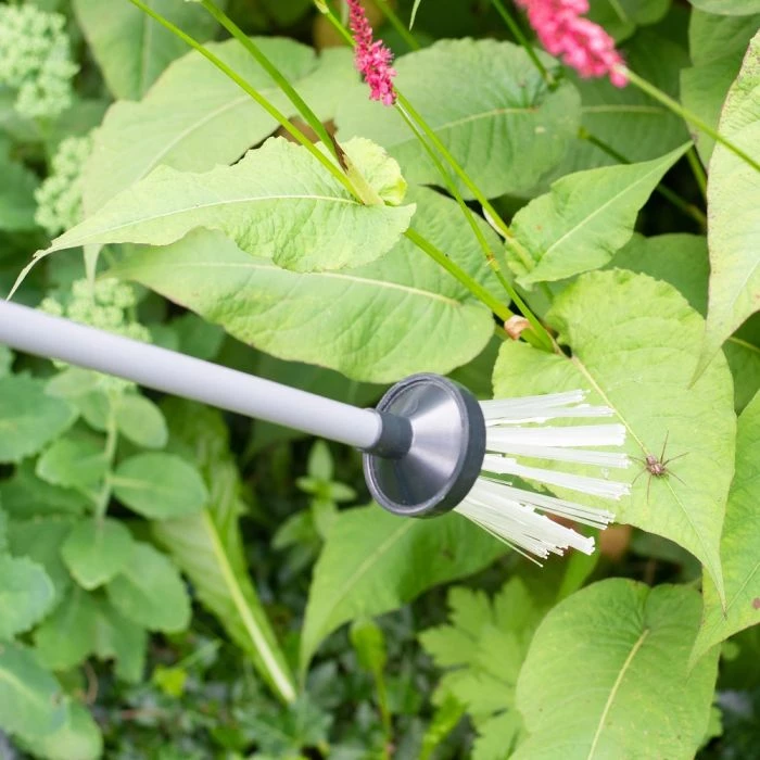 Bug Away Spider Catcher And Insect Remover