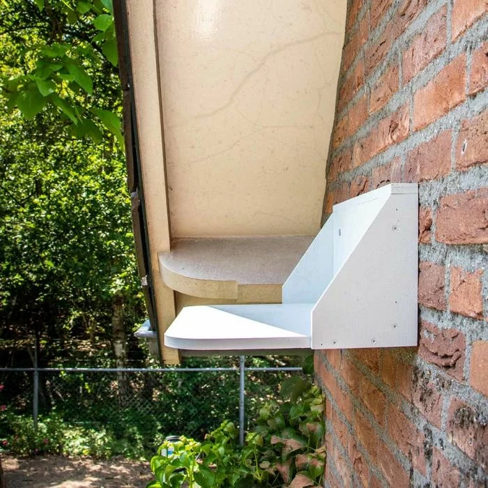 Dropping Board For Swallow And House Martin Nests - Image 2