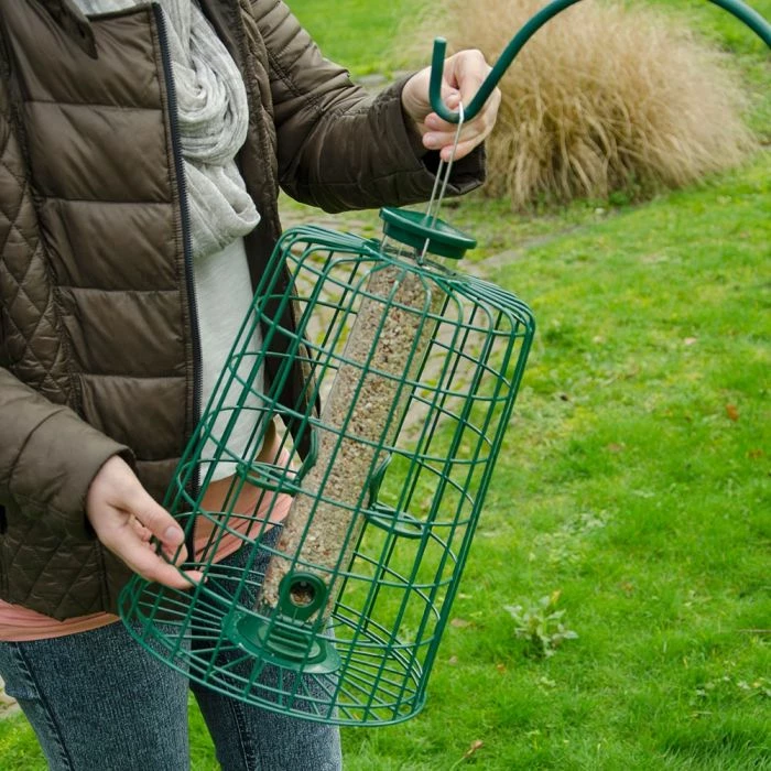 4 Port Bird Seed Feeder With Guardian - Image 3