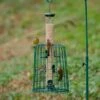 6 Port Bird Seed Feeder With Guardian