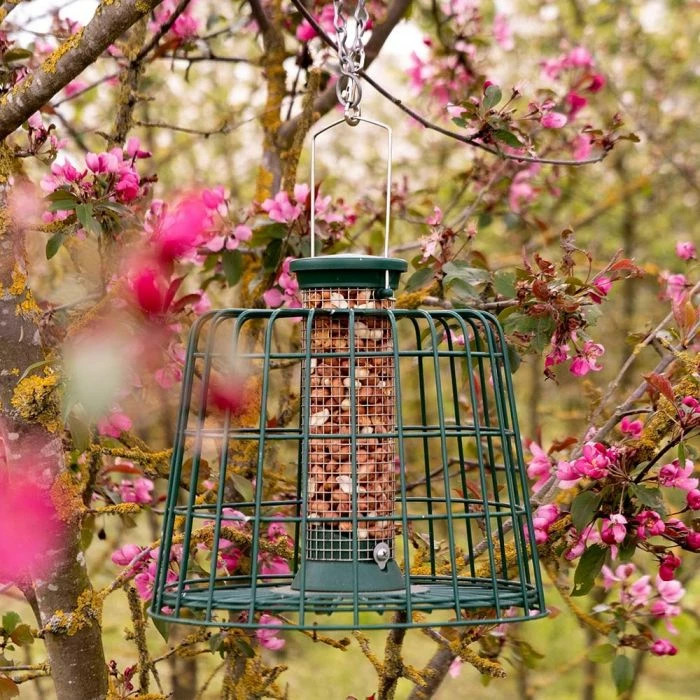 Small Peanut Bird Feeder With Guardian - Image 2