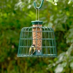 Small Peanut Bird Feeder With Guardian