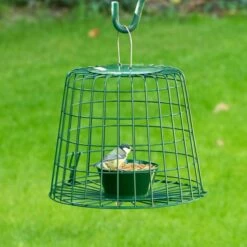 Suet Pellet & Mealworm Guardian Bird Feeder