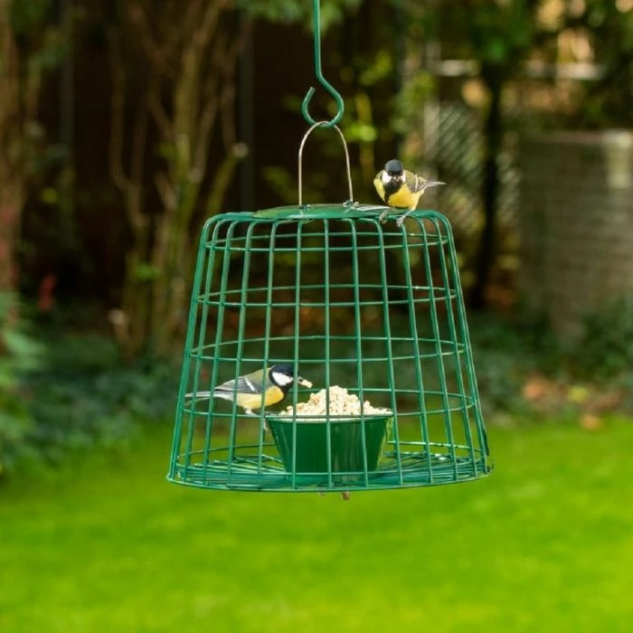 Suet Pellet & Mealworm Guardian Bird Feeder - Image 2