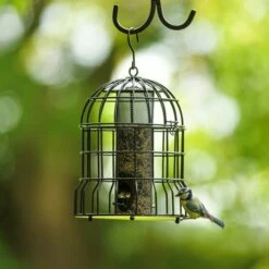 Milan Guardian Bird Seed Feeder