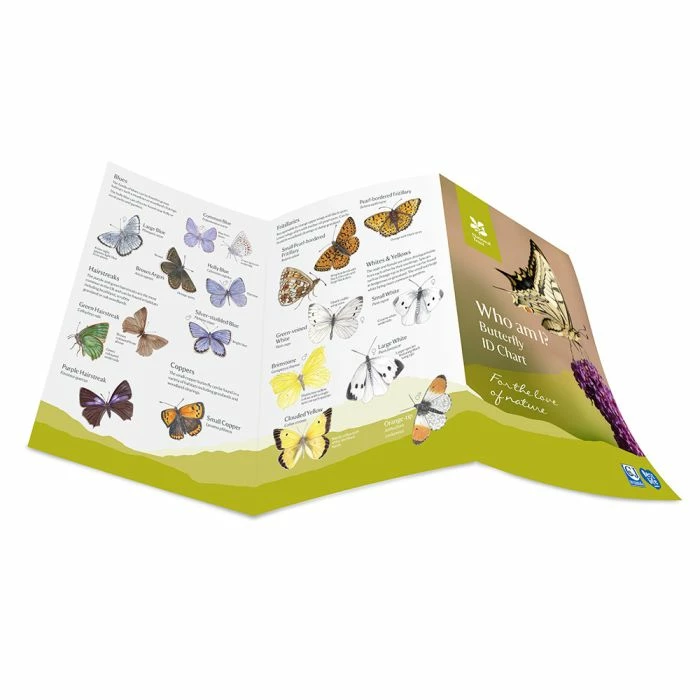 National Trust Butterfly ID Chart - Image 3