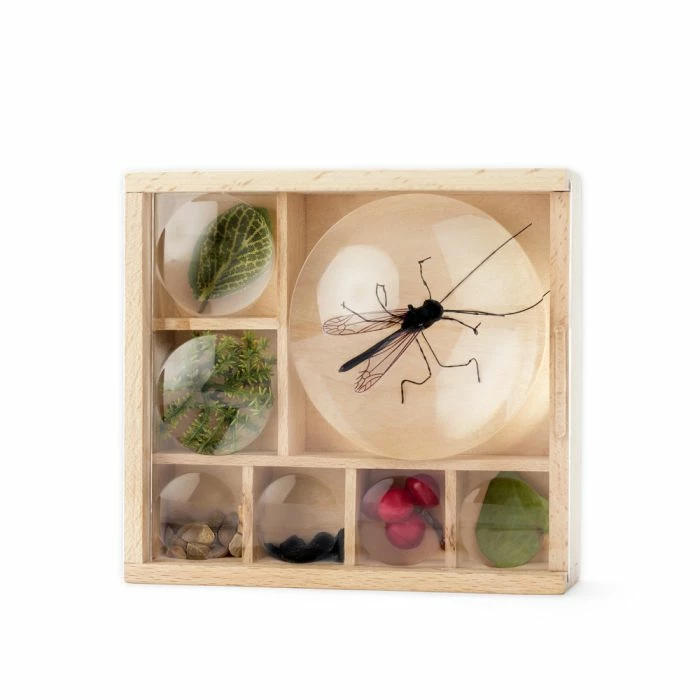 Huckleberry Insect Box - Image 3