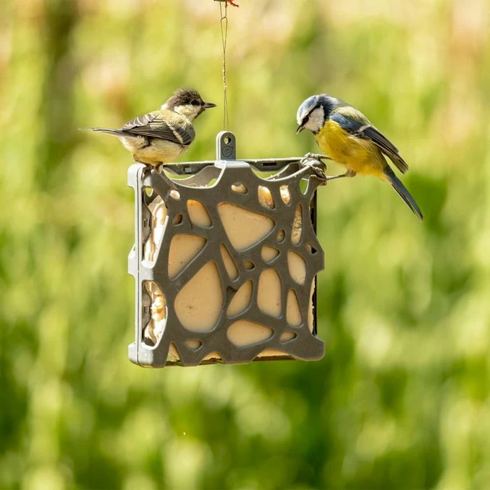 National Trust Anna Recycled Peanut Cake Bird Feeder