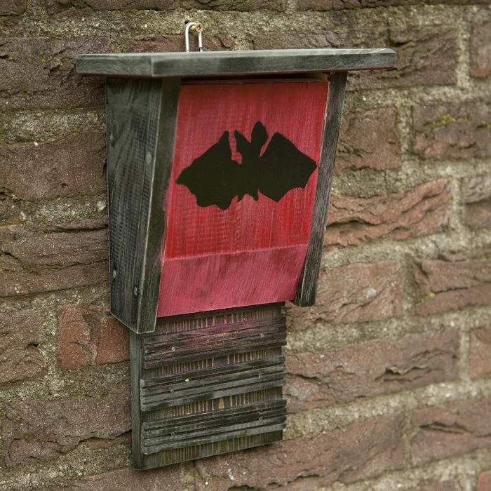 Build-Your-Own Igor Bat Box - Image 2