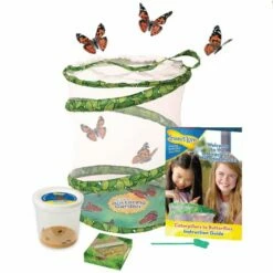 Live Butterfly Garden