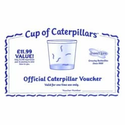 Certificate For Replacement Caterpillars