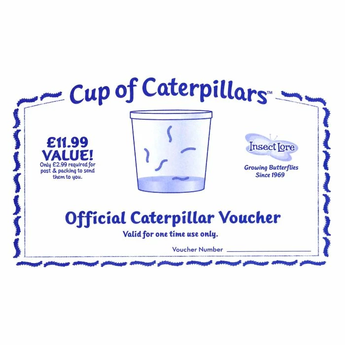 Certificate For Replacement Caterpillars